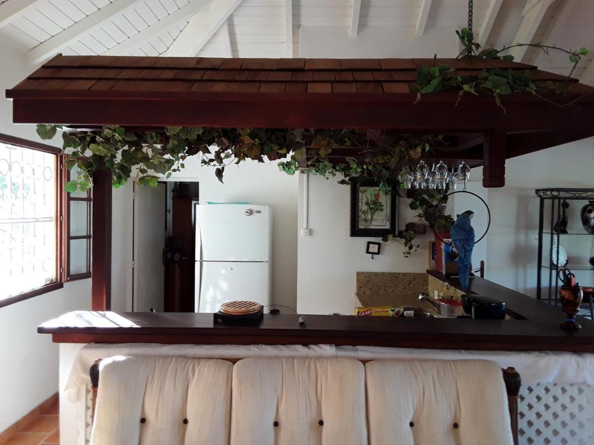 Luxurious Villa Saint Martin Cul de Sac Exterior photo